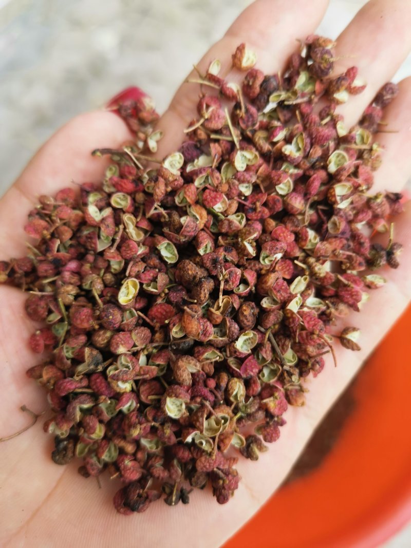 【精品】大红袍花椒颜色红，颗粒大保质保量量大从优