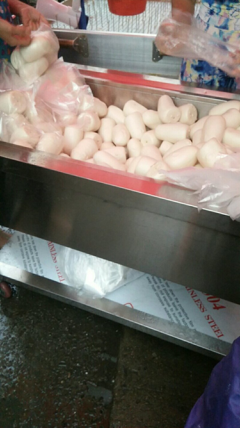 中国信鸽（种鸽,幼鸽）