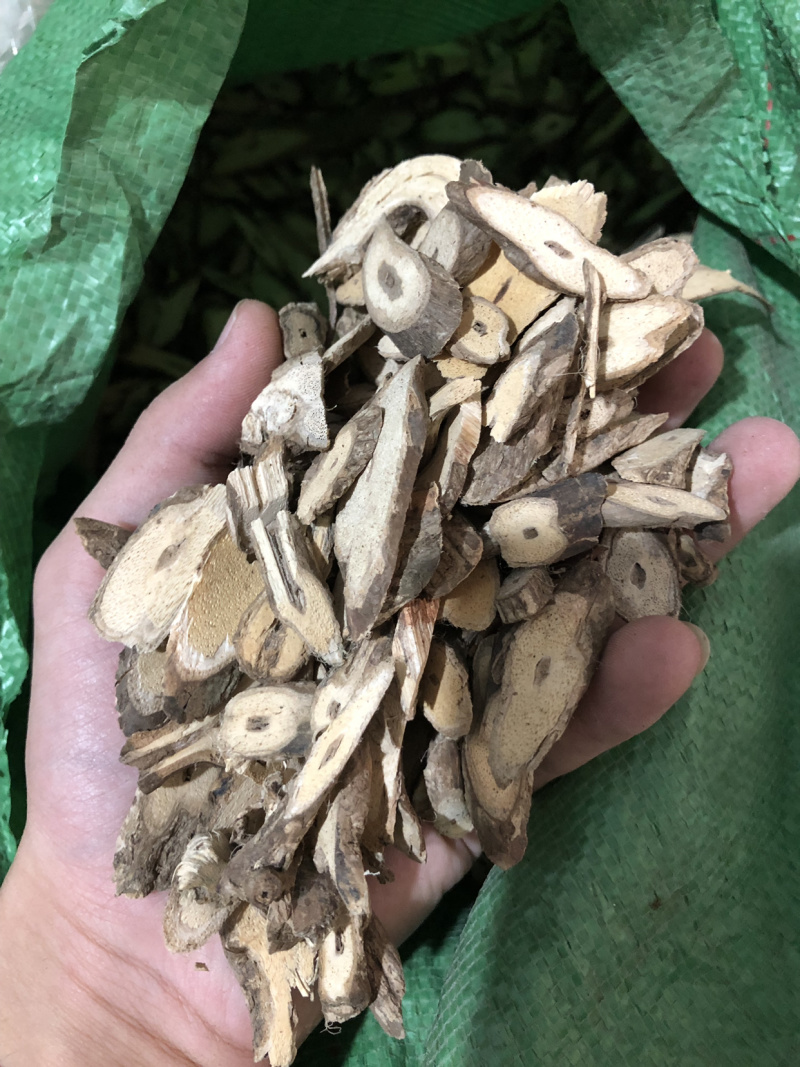 【乌骨藤】乌骨藤量大从优产地直供物美价廉