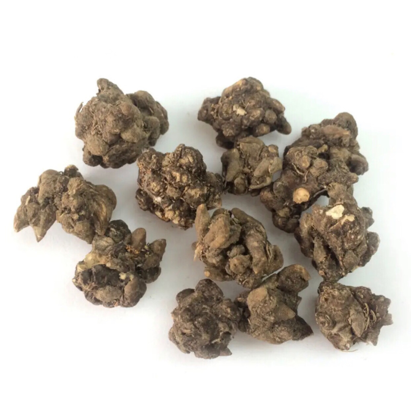 【猫爪草】猫爪草大颗粒量大从优选物美价廉