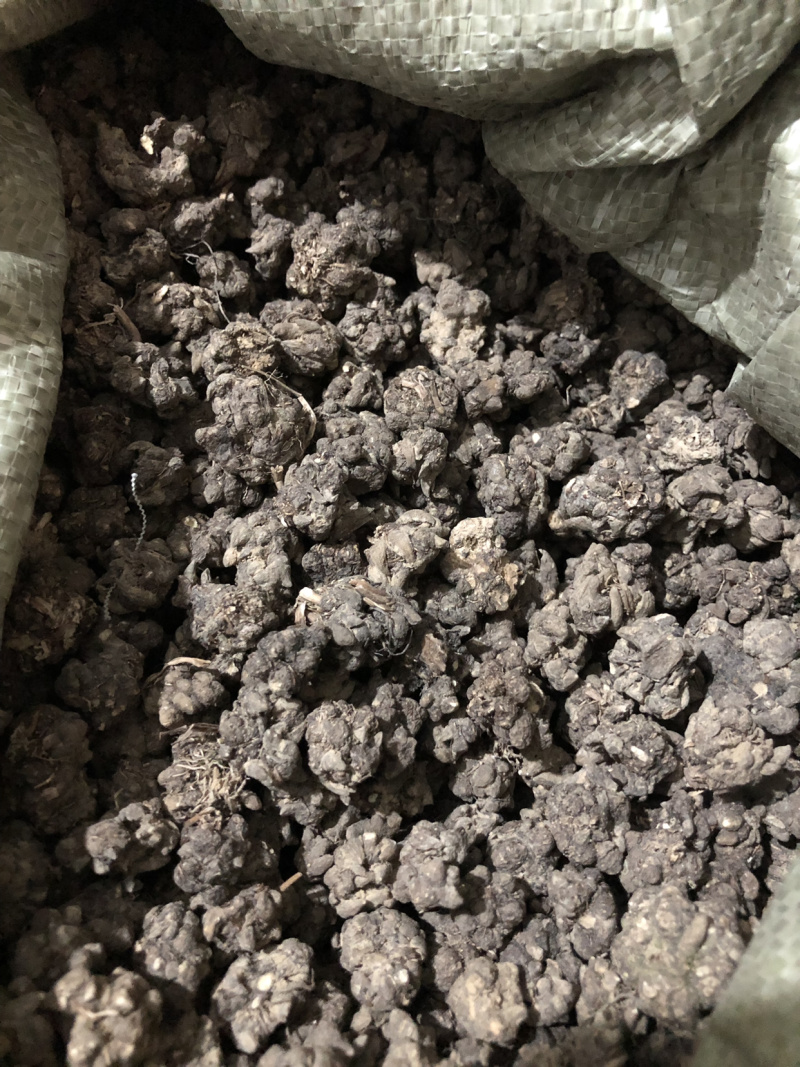 【猫爪草】猫爪草大颗粒量大从优选物美价廉