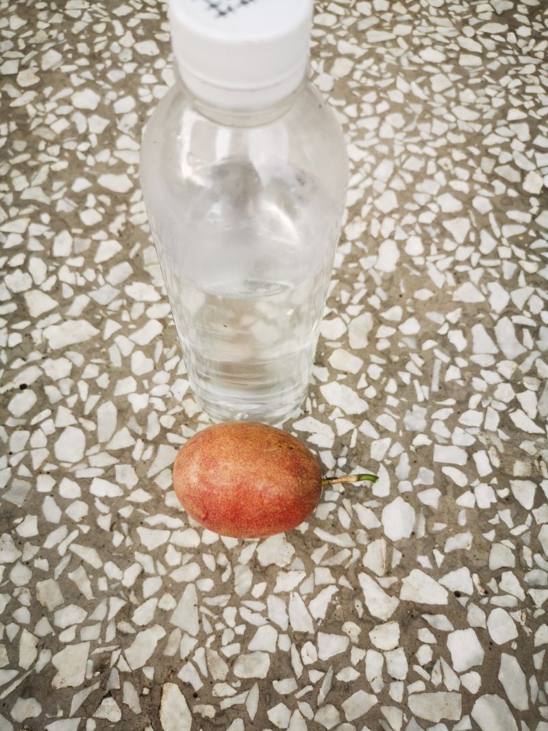 广西桂林高山百香果甜蜜多汁，规格60～70克，一件代发