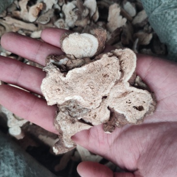 白术，切片安徽多规格可磨粉