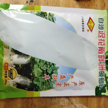 春不老迟花南畔洲白萝卜种籽九斤王不空心晚熟冬性好大田种