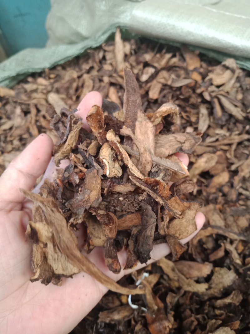 骨碎补生骨碎补烫骨碎补批发零售各种规格中药材