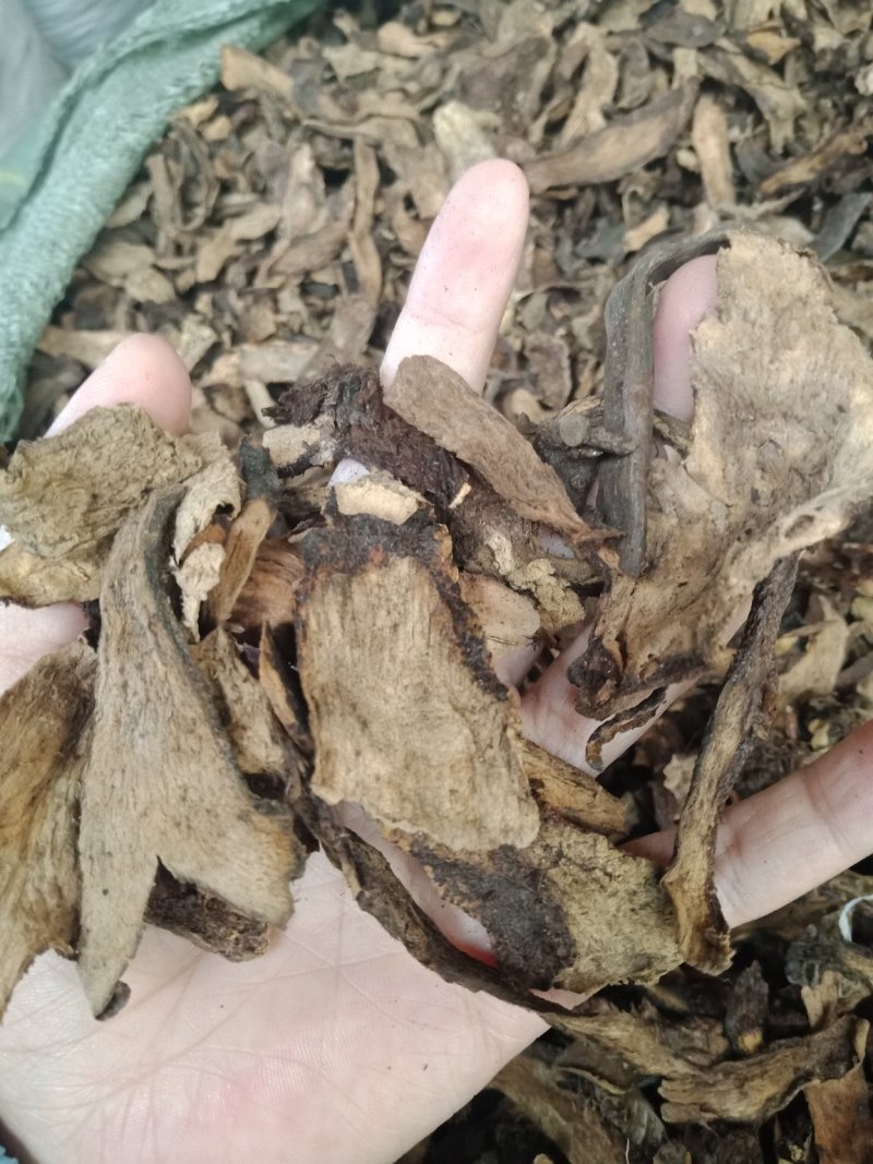 骨碎补生骨碎补烫骨碎补批发零售各种规格中药材