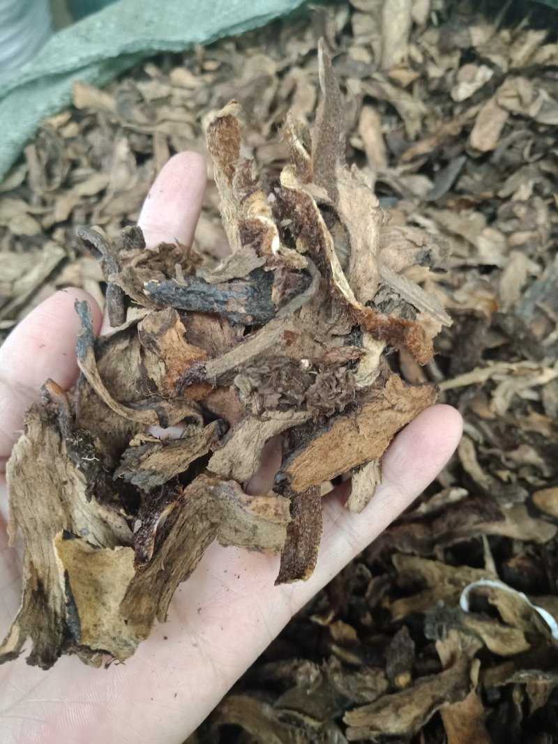 骨碎补生骨碎补烫骨碎补批发零售各种规格中药材