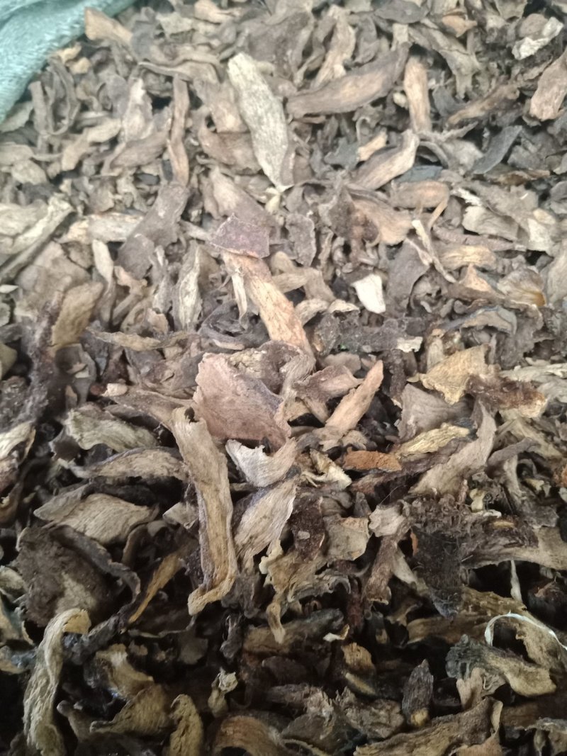 骨碎补生骨碎补烫骨碎补批发零售各种规格中药材