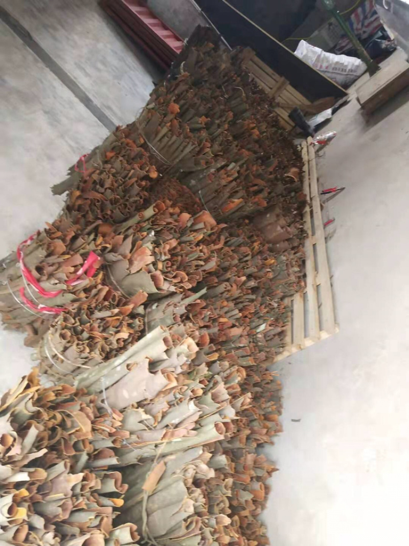 湘西野生桂皮