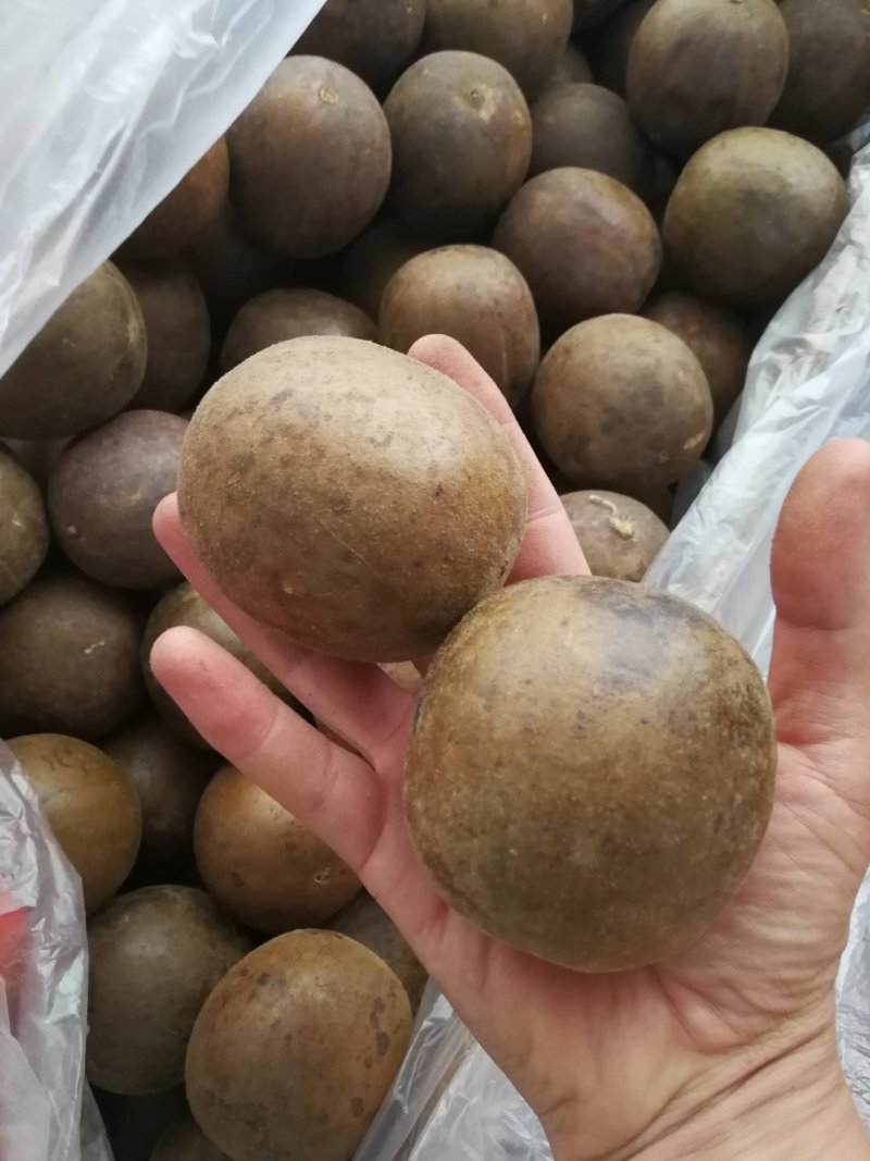 广西特产罗汉果特小罗汉果中个大个罗汉果