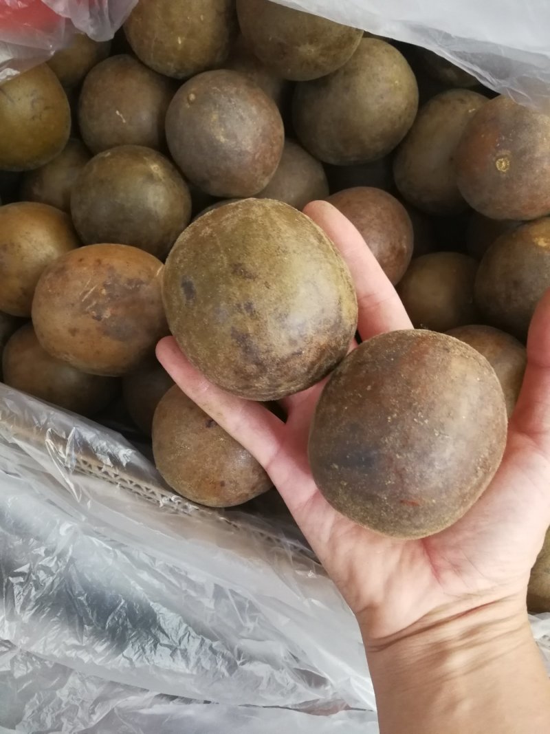 广西特产罗汉果特小罗汉果中个大个罗汉果