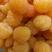 黄树莓苗黄色树莓苗基地直发浩海浆果包成活包品质欢迎