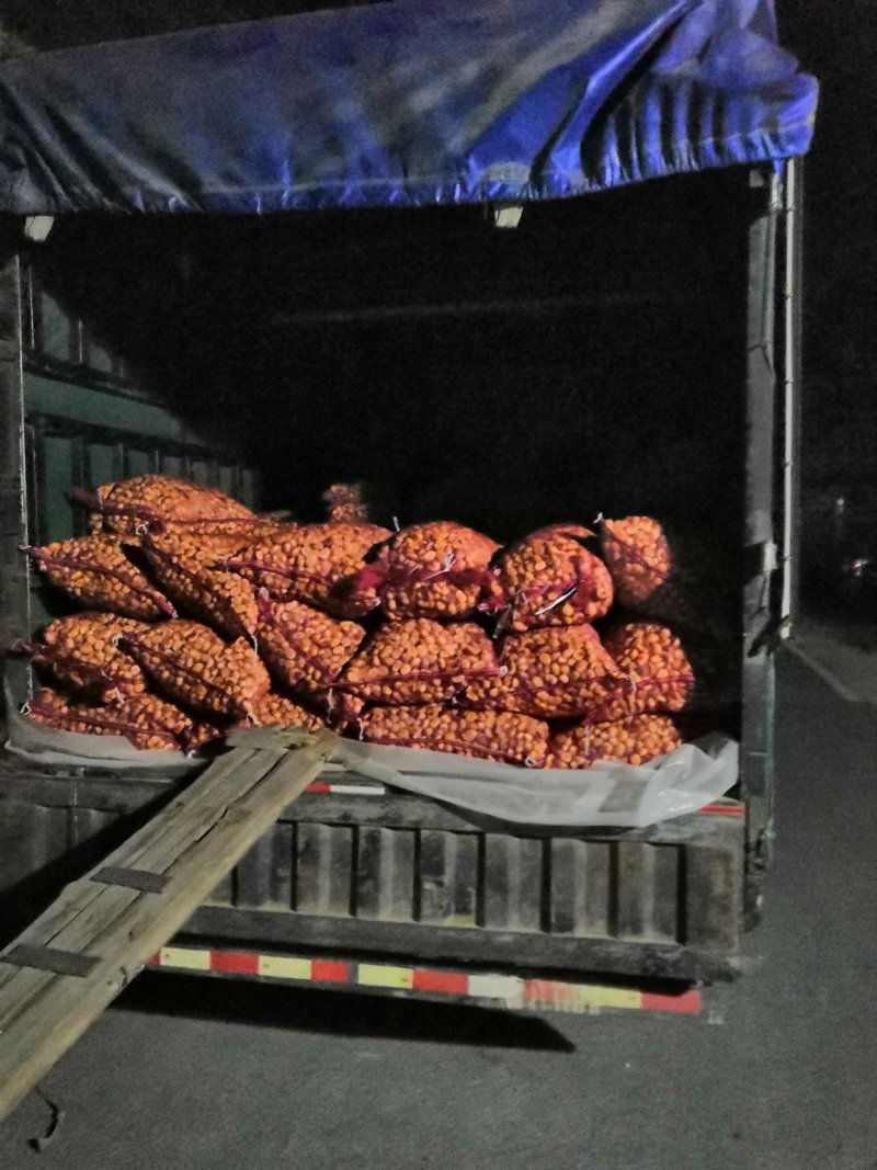 精品板栗，30个一斤
