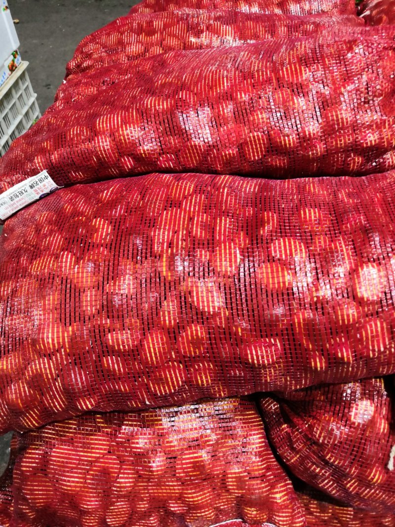 精品板栗，30个一斤