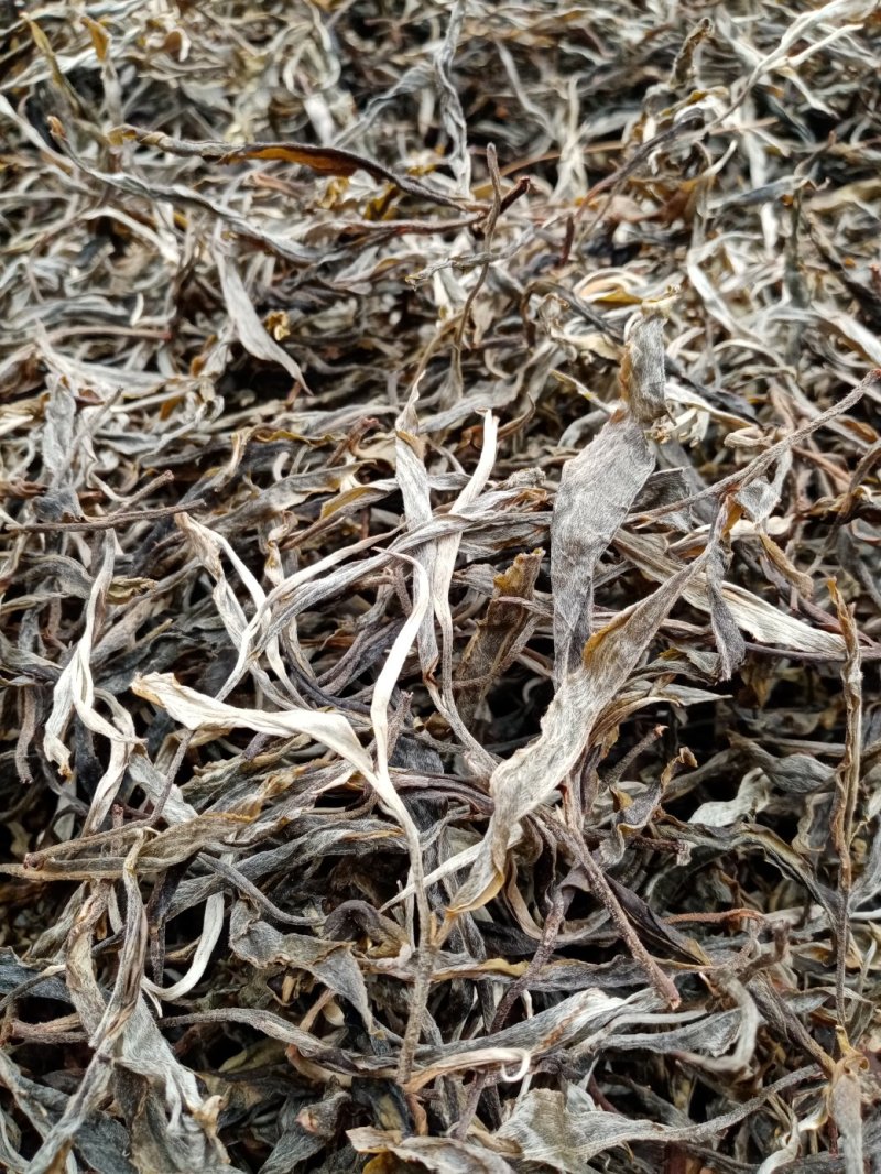 布朗山生茶山头纯料。