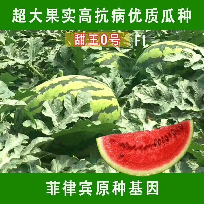 超大甜王0号西瓜种子采用菲律宾原种基因皮薄不裂瓜高糖度