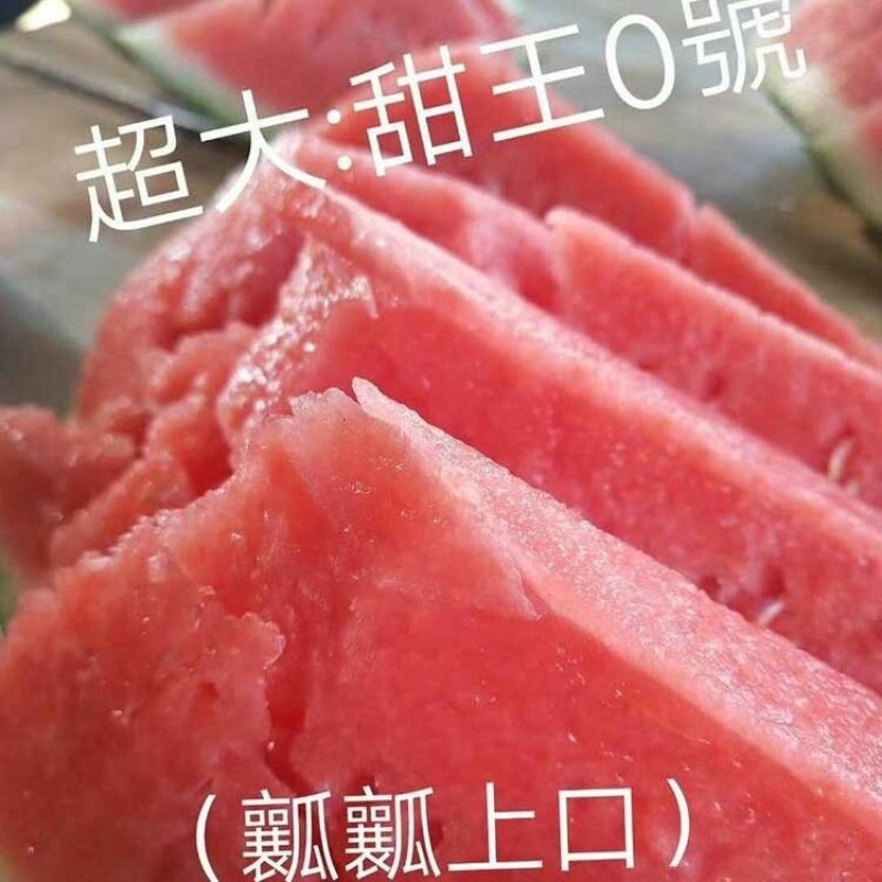 超大甜王0号西瓜种子采用菲律宾原种基因皮薄不裂瓜高糖度