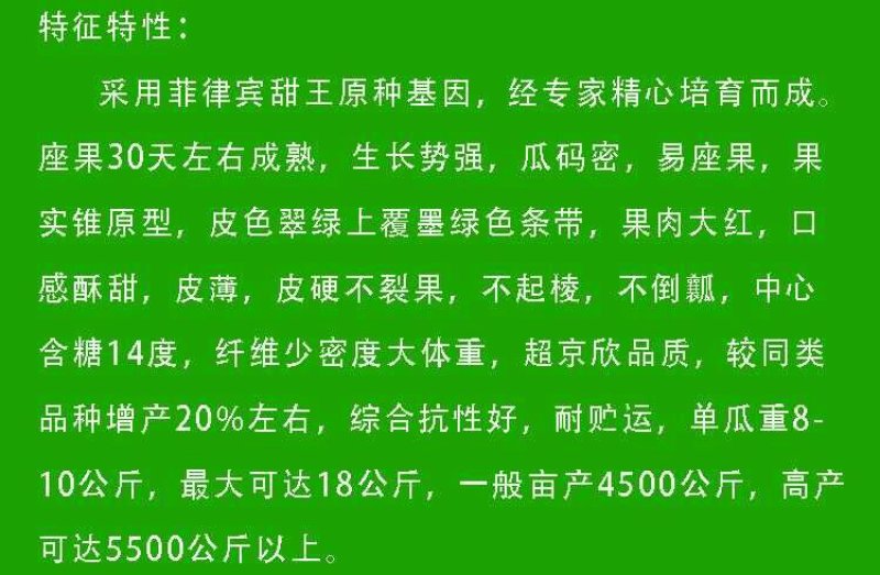 超大甜王0号西瓜种子采用菲律宾原种基因皮薄不裂瓜高糖度