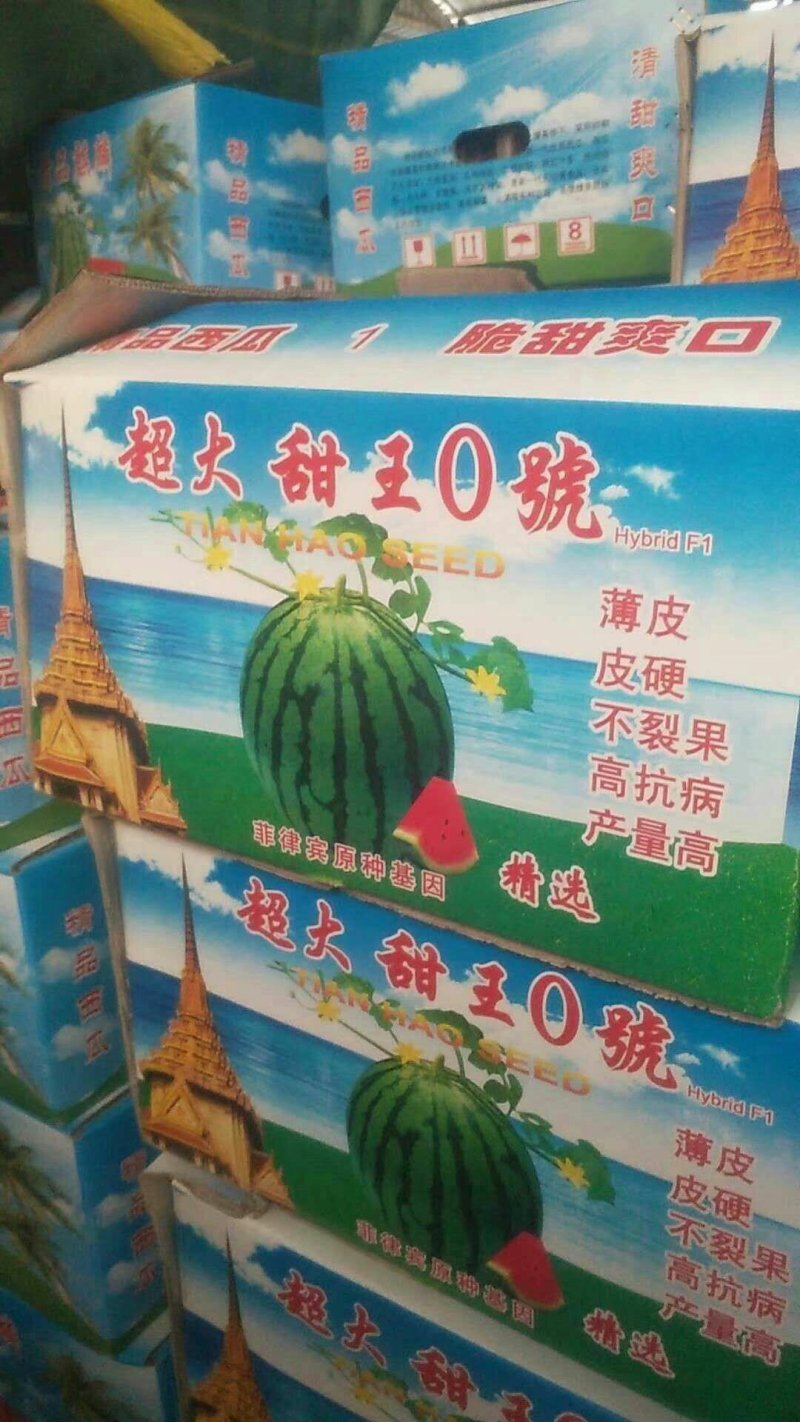 超大甜王0号西瓜种子采用菲律宾原种基因皮薄不裂瓜高糖度
