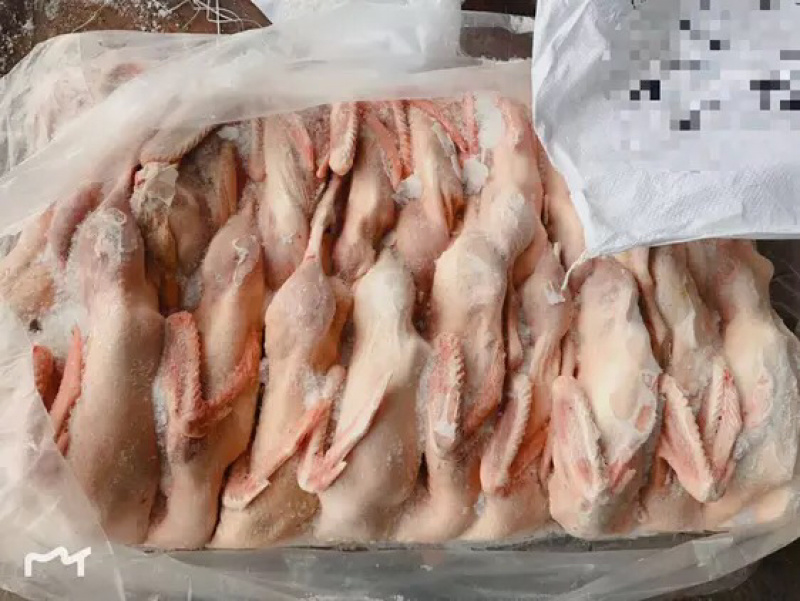 白条鸭