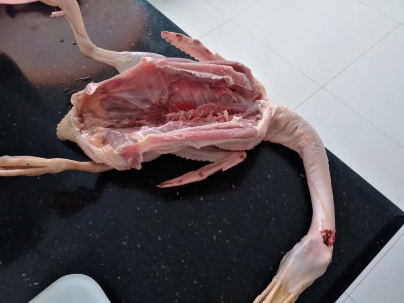 白条鸭