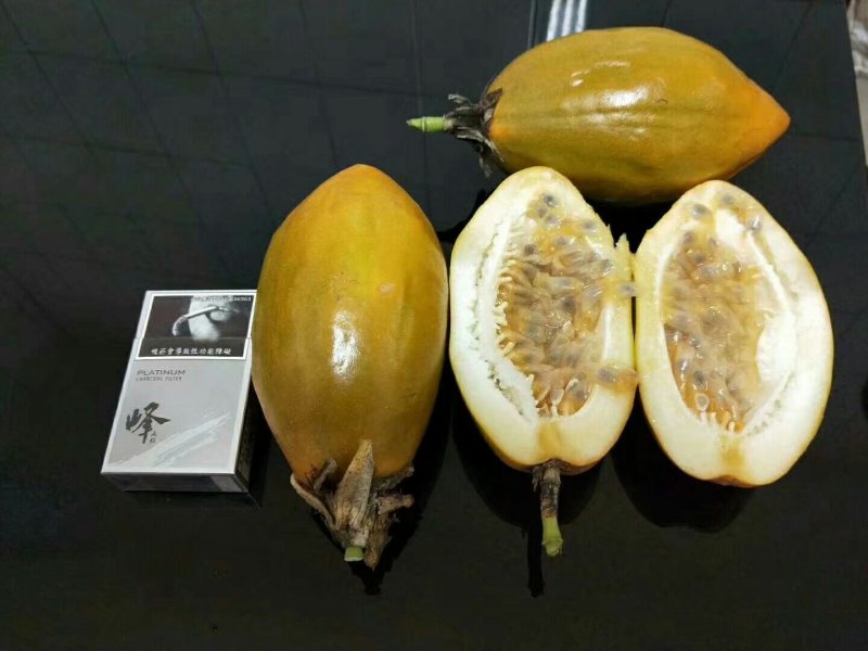 木瓜百香果苗百香果苗绿皮百香果苗黄金百香果苗