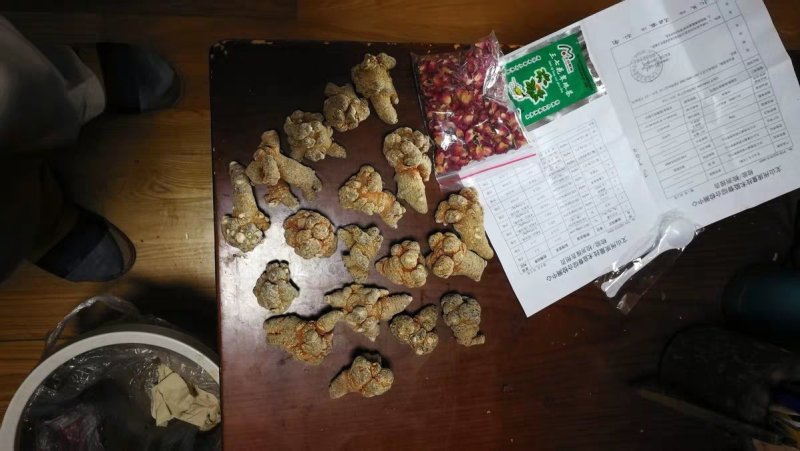 三七一斤包邮28头26头25头23头20头
