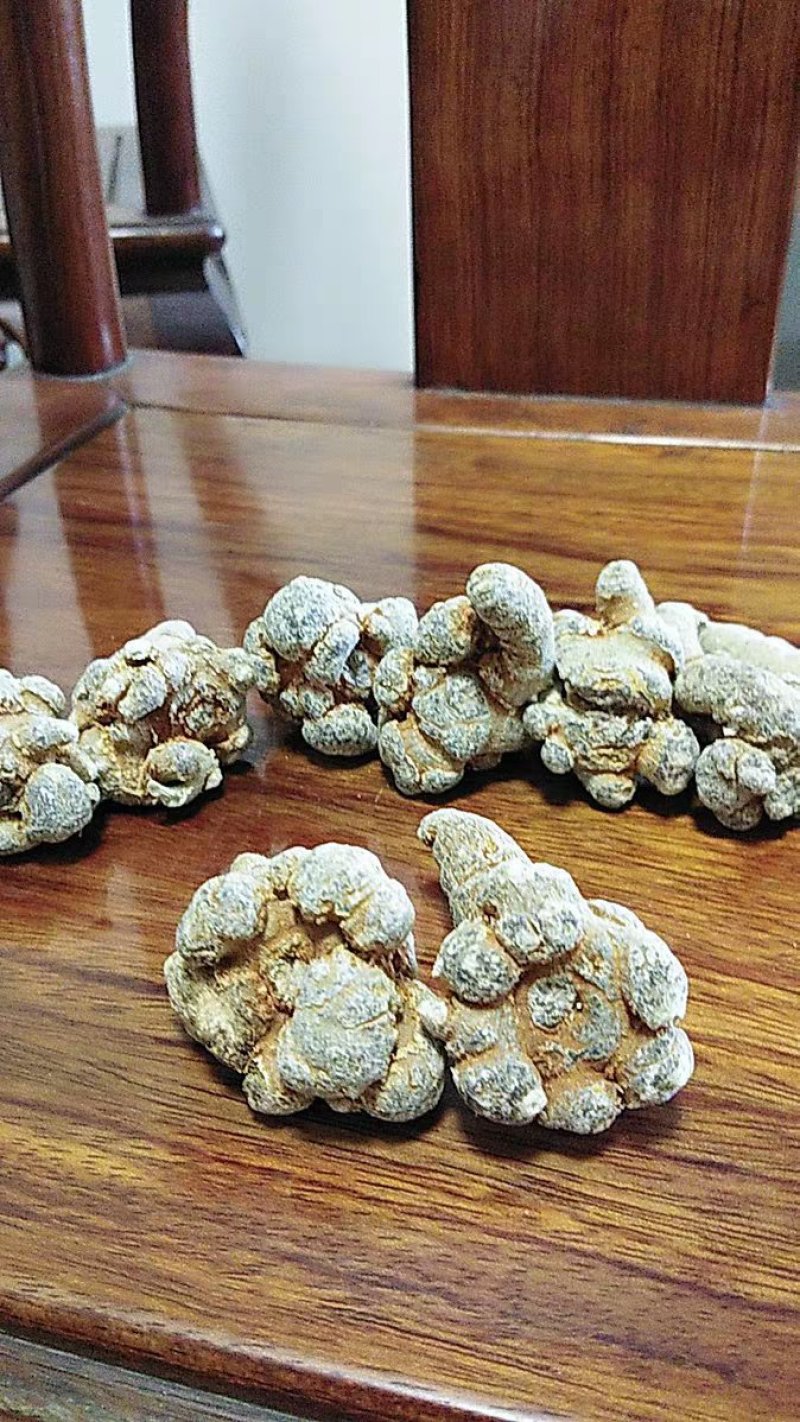 三七一斤包邮28头26头25头23头20头