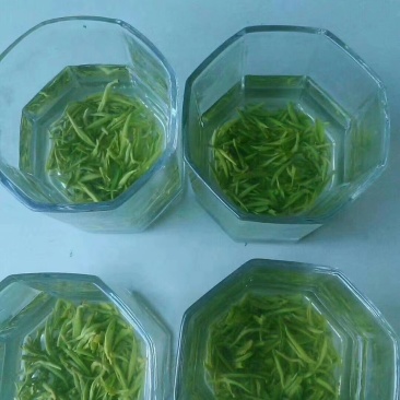 狗牯脑茶
