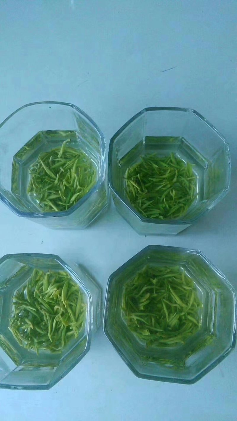 狗牯脑茶