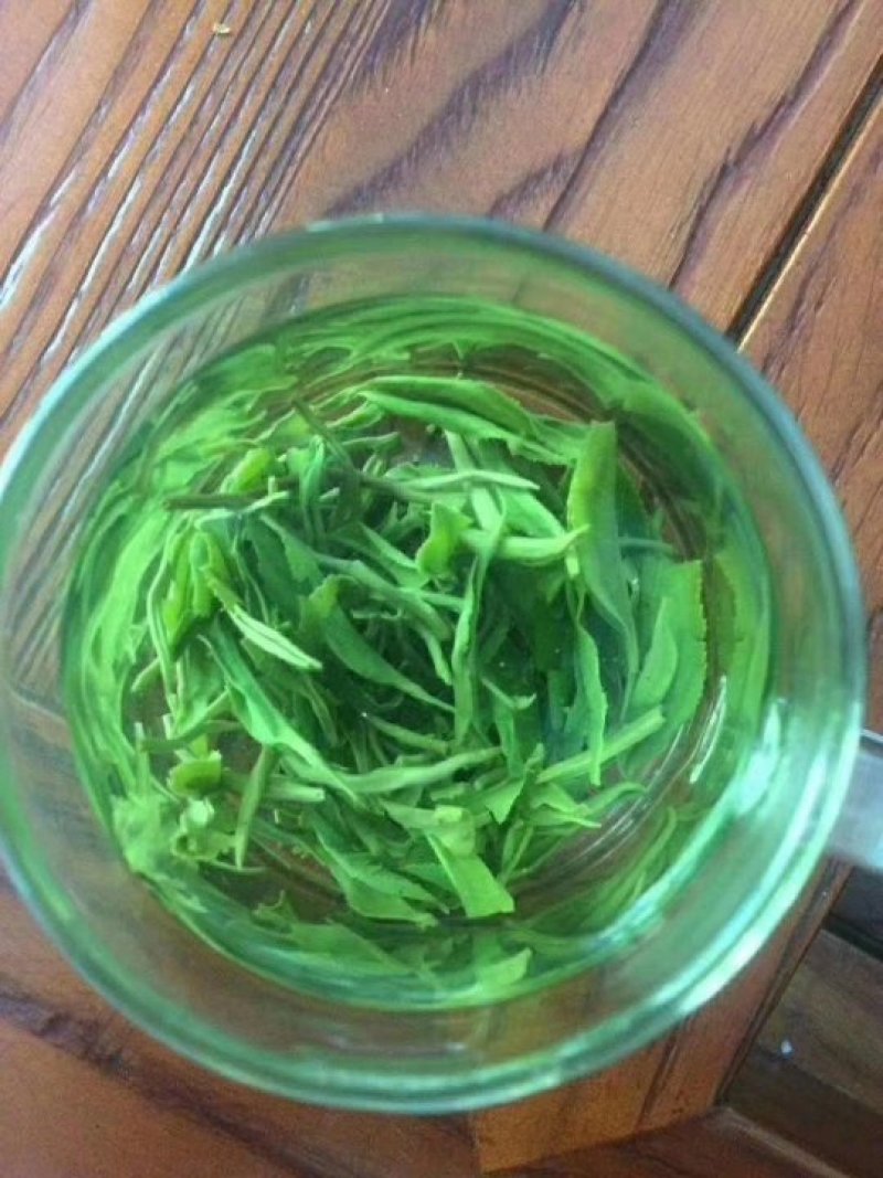 狗牯脑茶