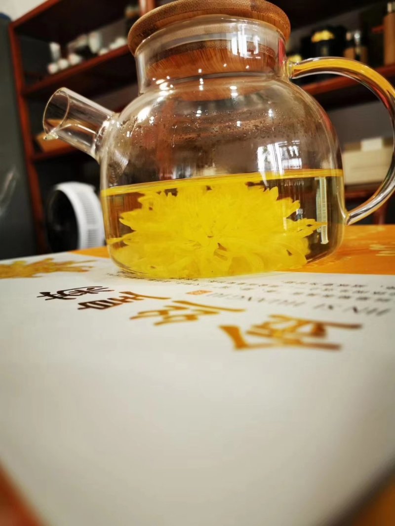 金丝黄菊茶
