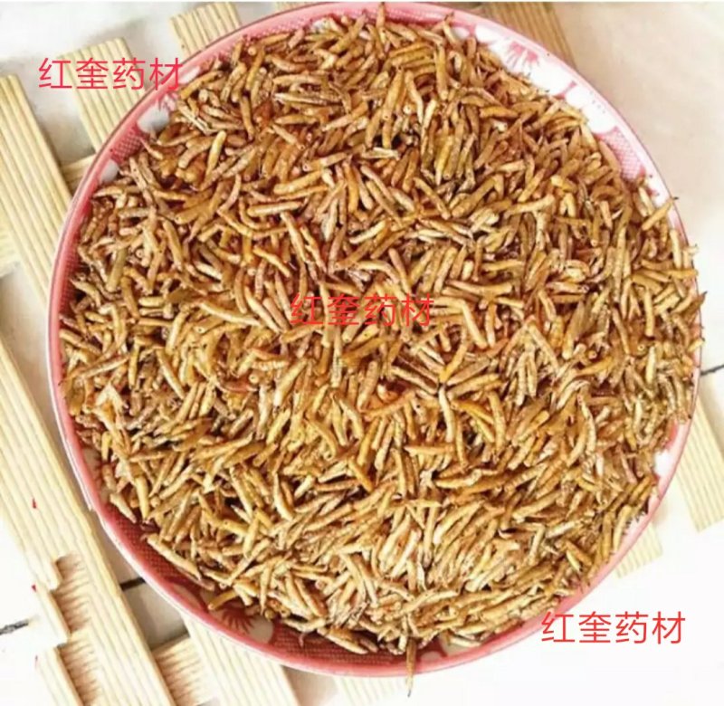 五谷虫肉芽蛆货好量大要多了有优惠
