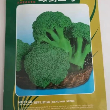 西兰花种子，青秀进口品绿剑三号秋季中早熟西兰花种子品种，