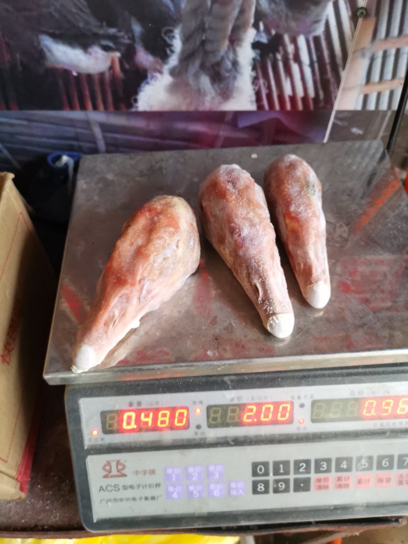 大鹅头一斤3~4个朗德鹅，去毛干净，真空包装，保存持久