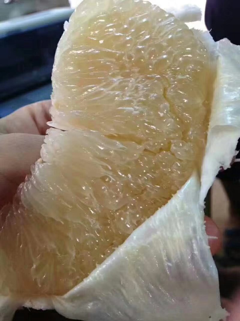 四大名柚/三色柚礼盒顺丰包邮一件代发现摘发货