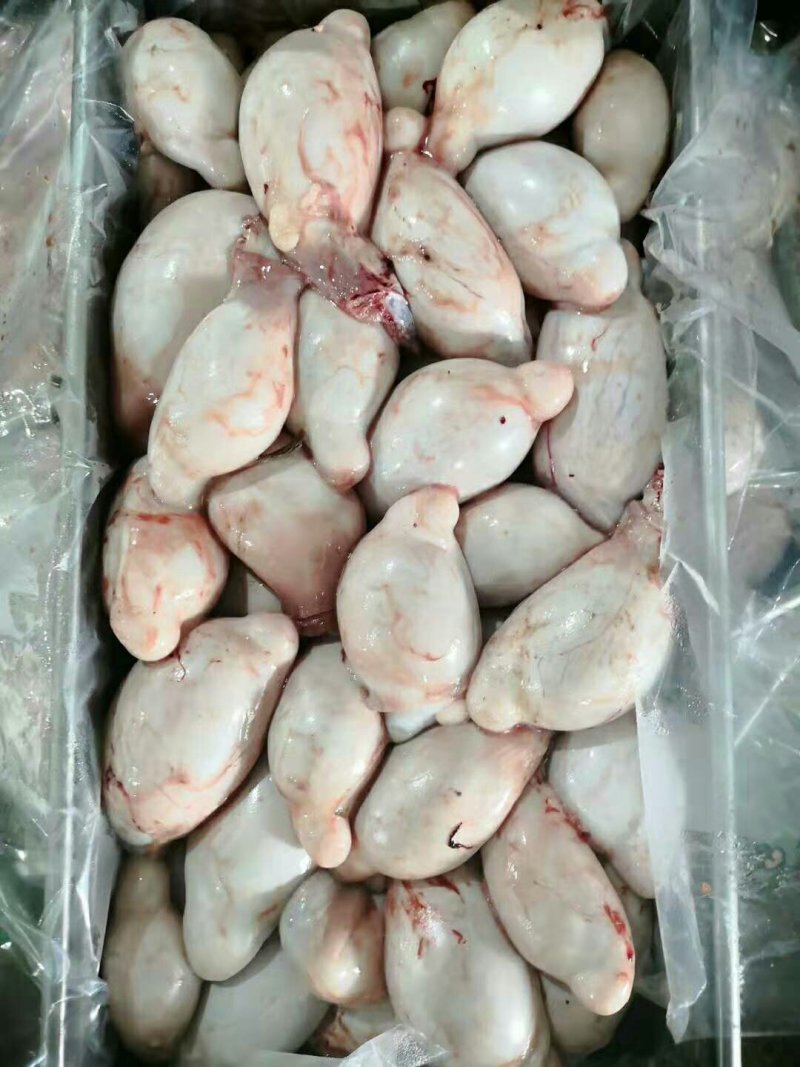 羊宝