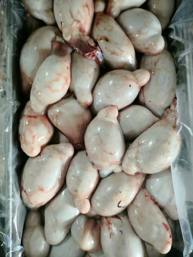 羊宝