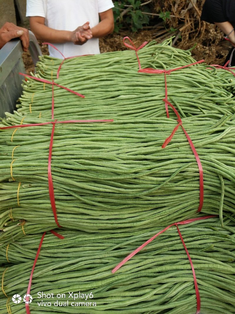 长豆角好货