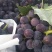 各种葡萄🍇