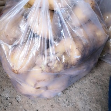 我这里有200多亩土豆待销。