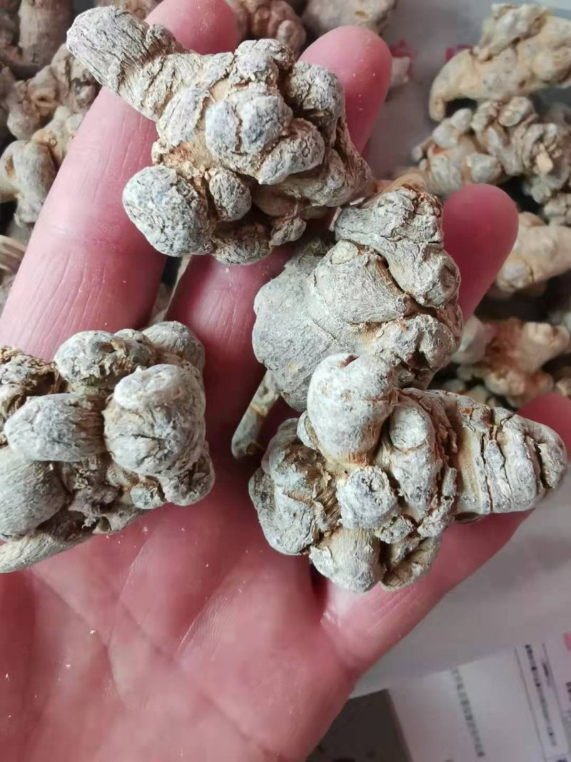 云南特产三七田七文山三七500克可以免费打粉