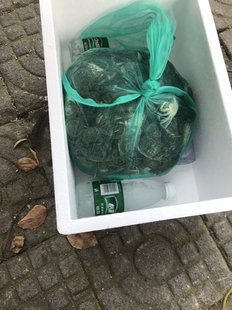 大闸蟹