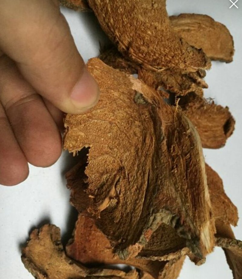 过江龙无硫产地直销一公斤起包邮