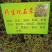 化石草