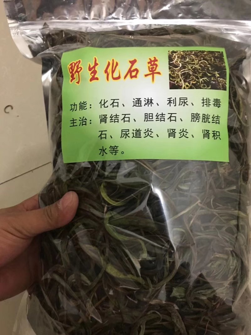 化石草