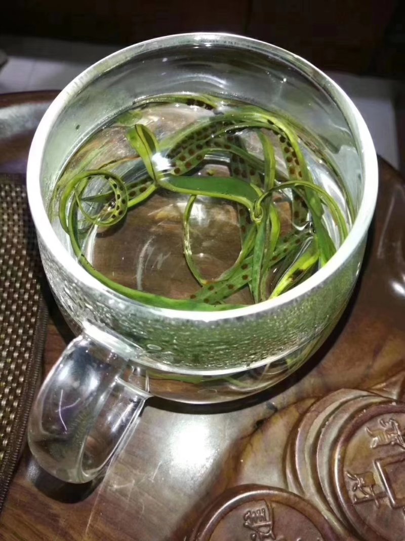 化石草