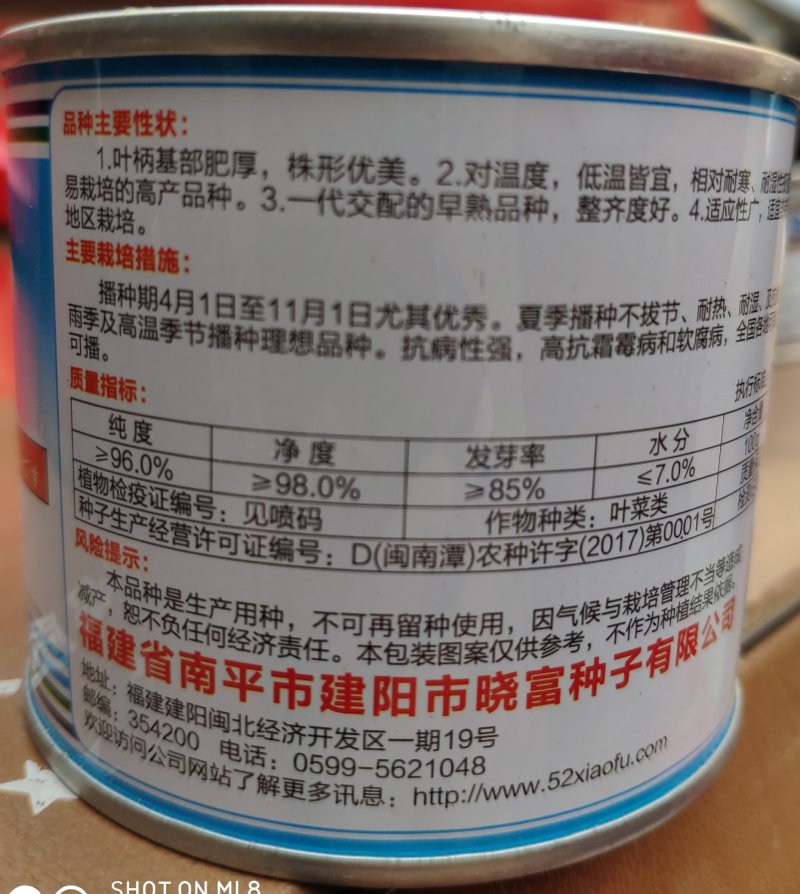 全胜青梗菜株型优美束腰耐寒耐湿抗病易栽培一代交配早熟