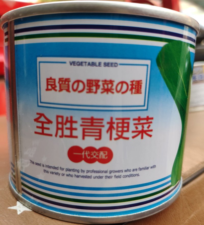 全胜青梗菜株型优美束腰耐寒耐湿抗病易栽培一代交配早熟