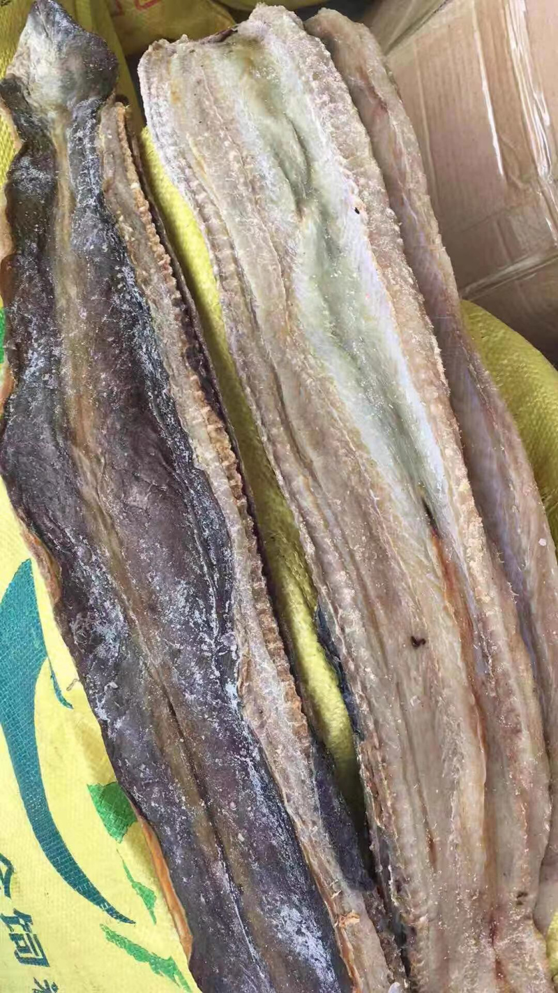 鳗鱼干
